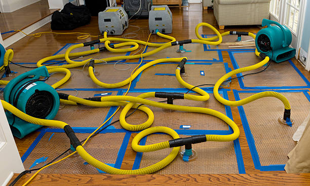 Professional Flood Damage Restoration technician working in Bellbrook, OH
